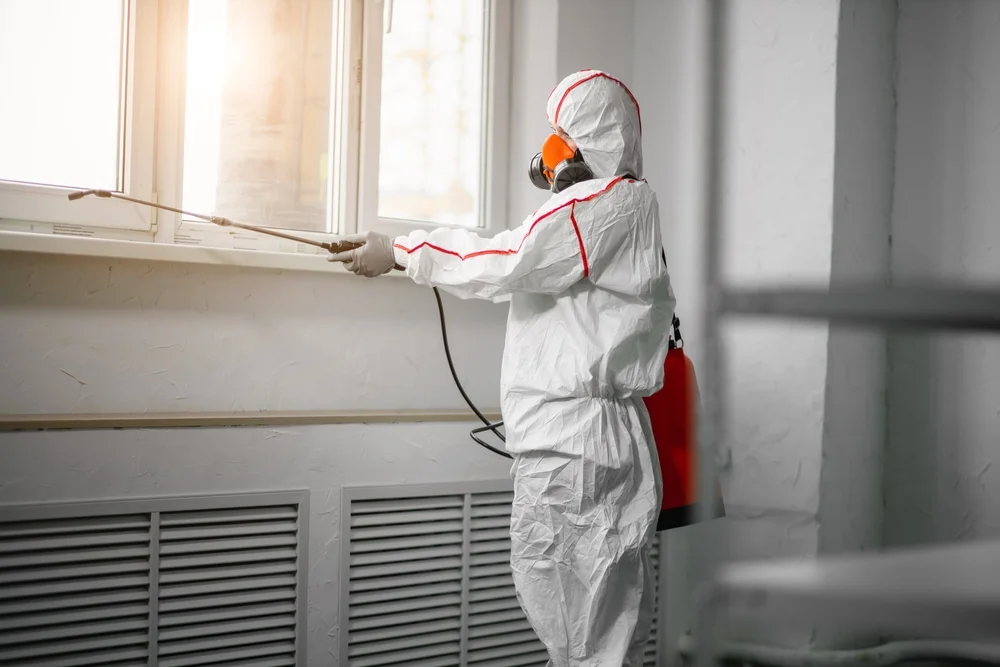 Professional mold remediation services in Mulga, AL